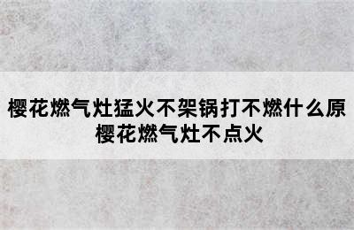 樱花燃气灶猛火不架锅打不燃什么原 樱花燃气灶不点火